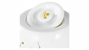 Чайный сервиз на 6 персон Rosenthal "Дикие цветы", 21 предмет