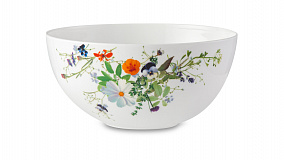 Столовый сервиз на 6 персон Rosenthal "Горный воздух", 20 предметов